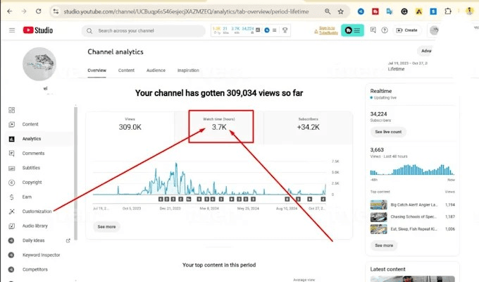 YouTube Video Ranking & Audience Growth Campaign